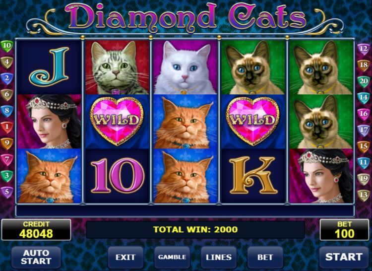 Diamond Cats
